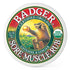 Sore Joint Rub Badger Balm