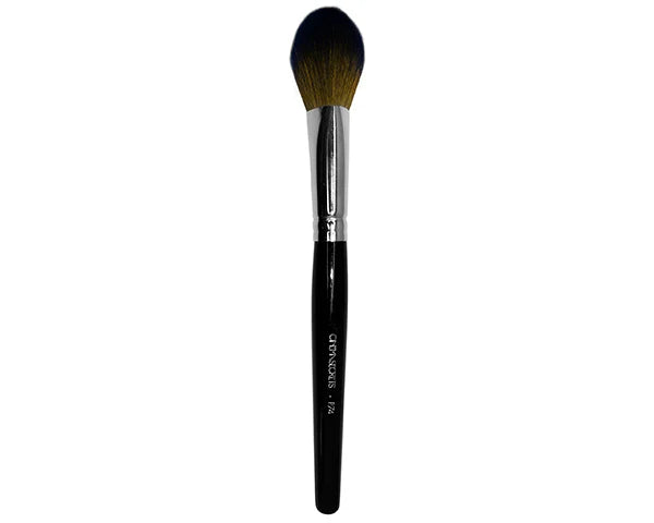 P74- Pointed Precision Brush Cinema Secrets