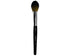 P74- Pointed Precision Brush Cinema Secrets