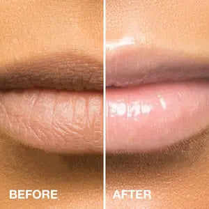 The Dream Slip Lip Treatment