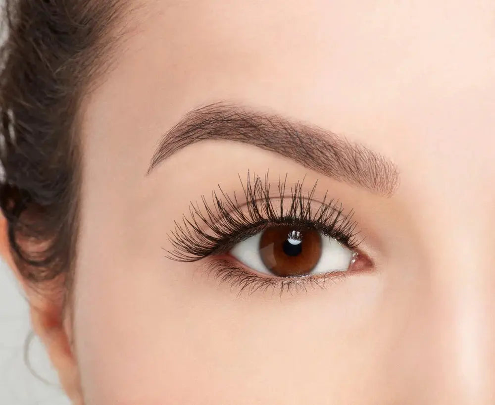 Wispies Lashes Ardell